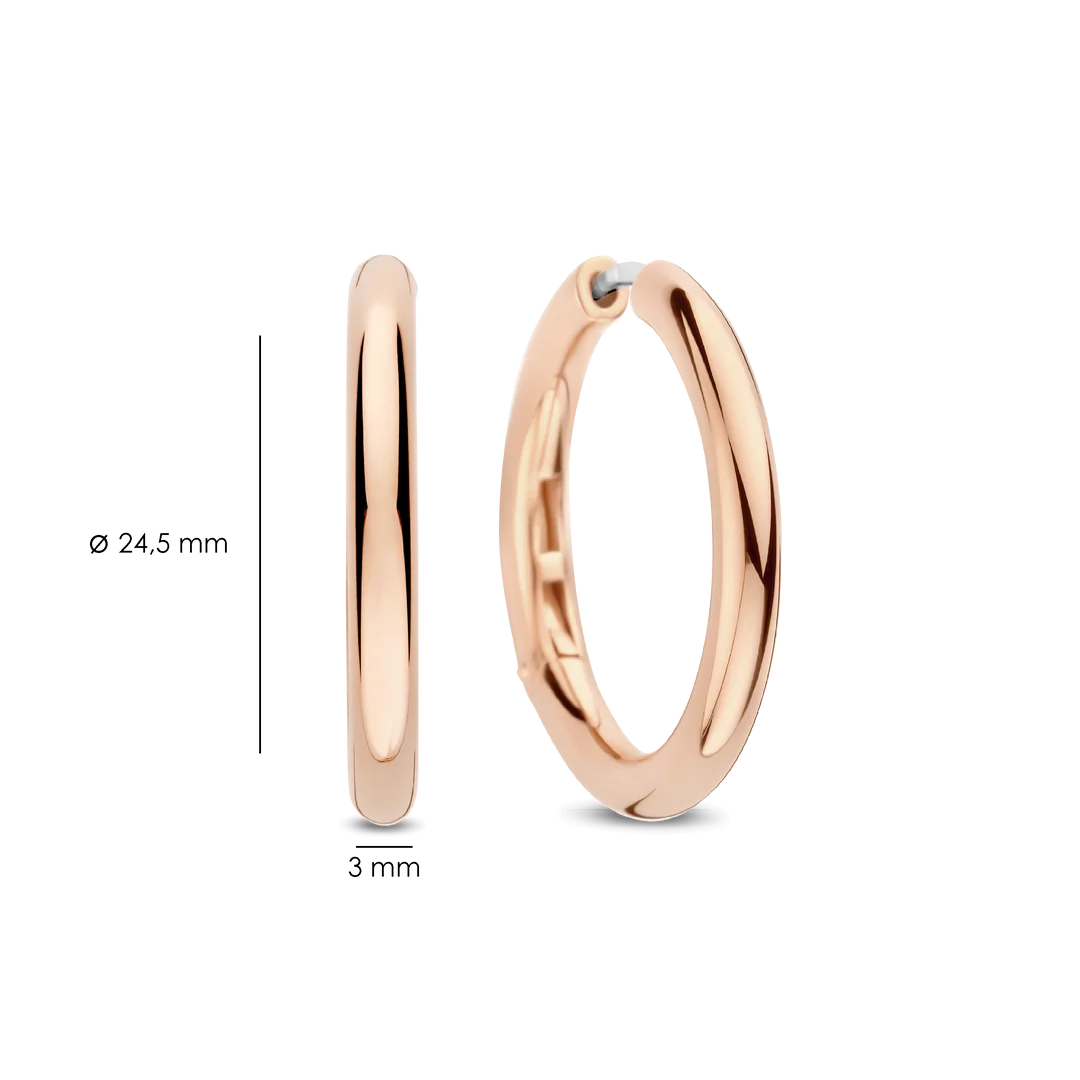 Ti Sento - Milano Earrings 78120SR