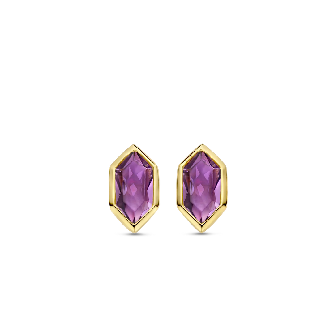 Ti Sento - Milano Earring 7944PU