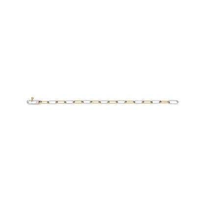 Ti Sento - Milano Bracelet 2936BI