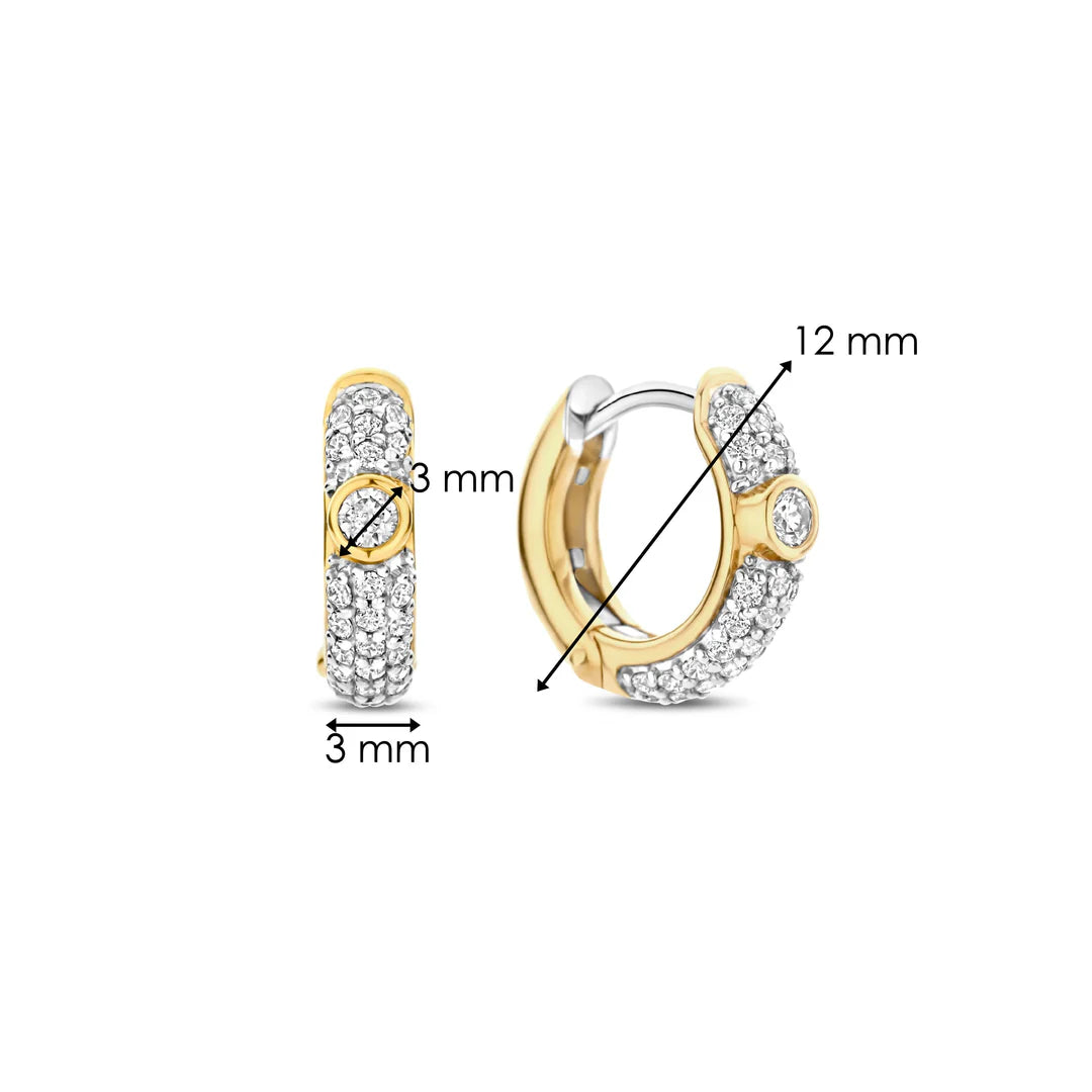 Ti Sento - Earrings 78019ZY