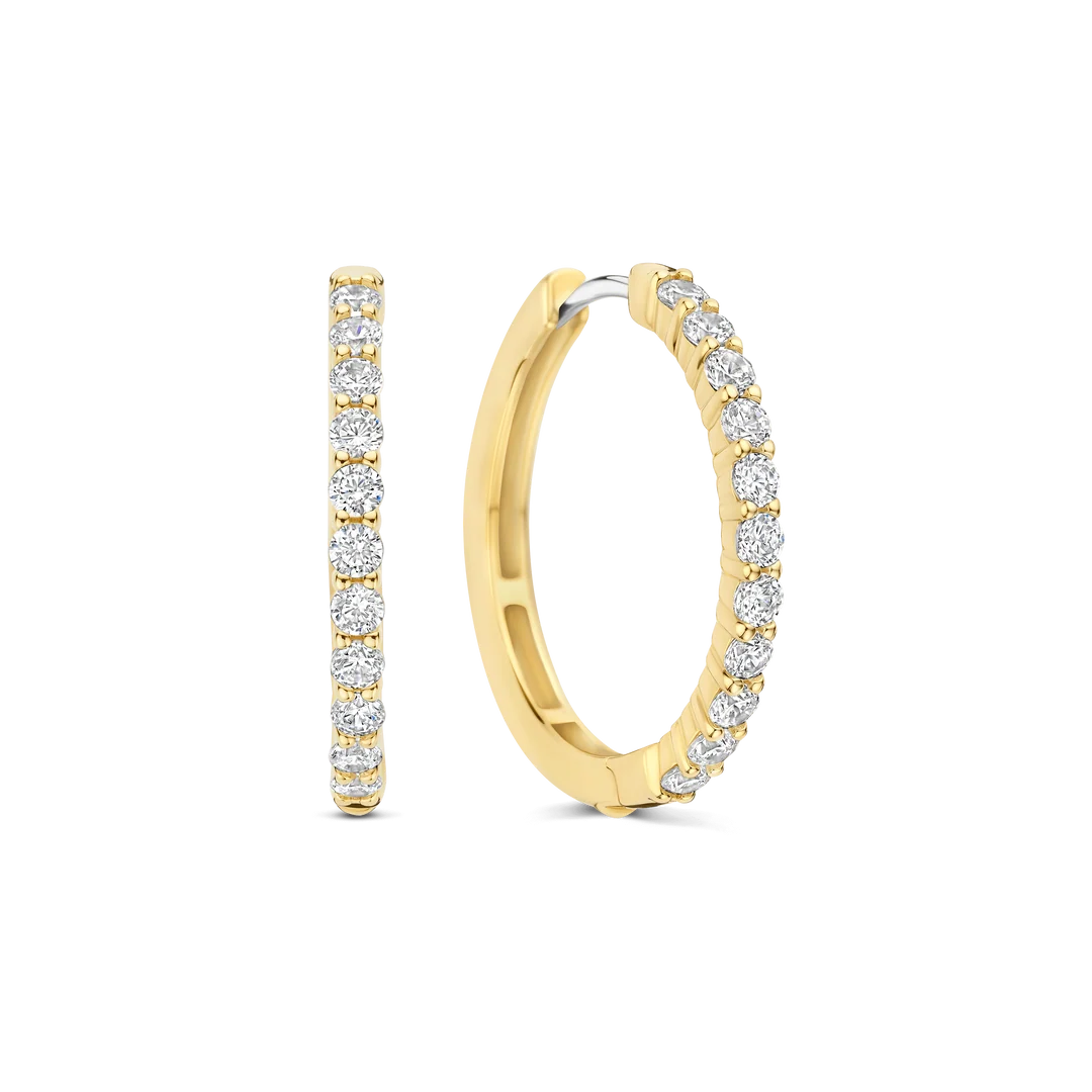 Ti Sento - Milano Earrings 78077ZY