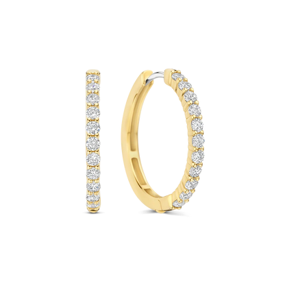 Ti Sento - Milano Earrings 78077ZY