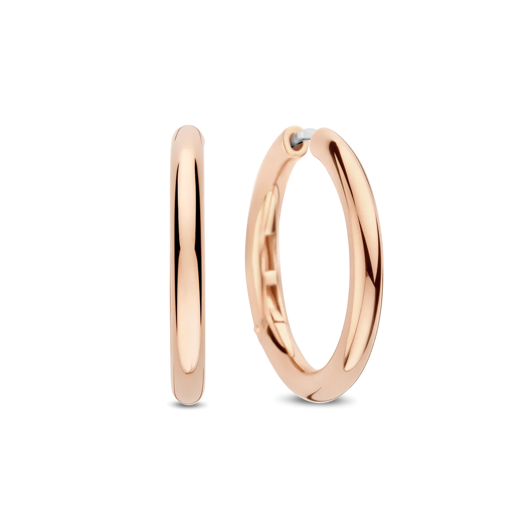 Ti Sento - Milano Earrings 78120SR
