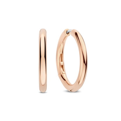 Ti Sento - Milano Earrings 78120SR