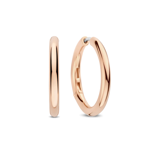 Ti Sento - Milano Earrings 78120SR