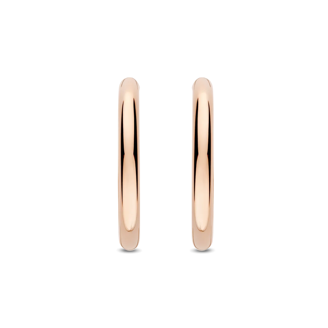Ti Sento - Milano Earrings 78120SR