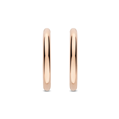 Ti Sento - Milano Earrings 78120SR