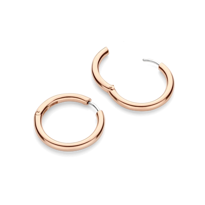 Ti Sento - Milano Earrings 78120SR