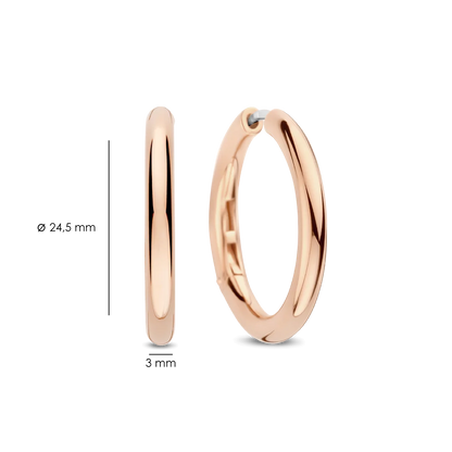 Ti Sento - Milano Earrings 78120SR