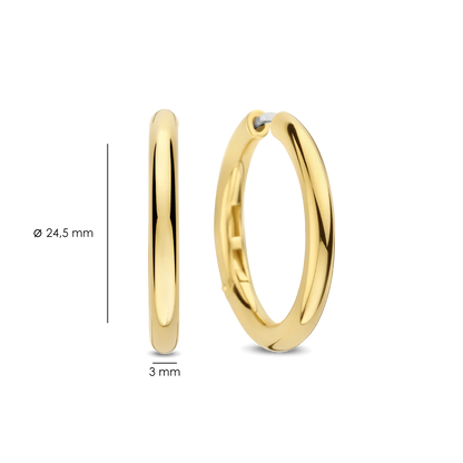 Ti Sento - Milano Earrings 78120SY