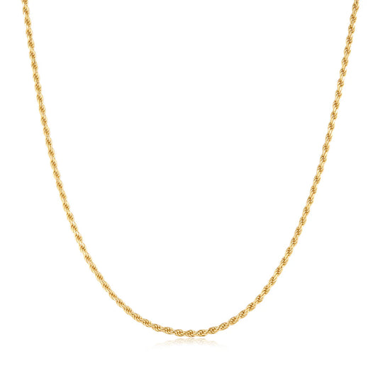 Ania Haie Gold Plate Rope Twist Chain Necklace