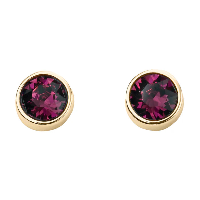 Yellow Gold Plated Crystal Birthstone Earring's