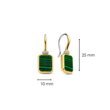 Load image into Gallery viewer, Ti Sento - Milano Earrings 7859MA